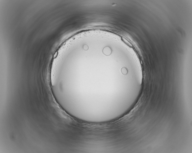 X0000110761336200907271136
