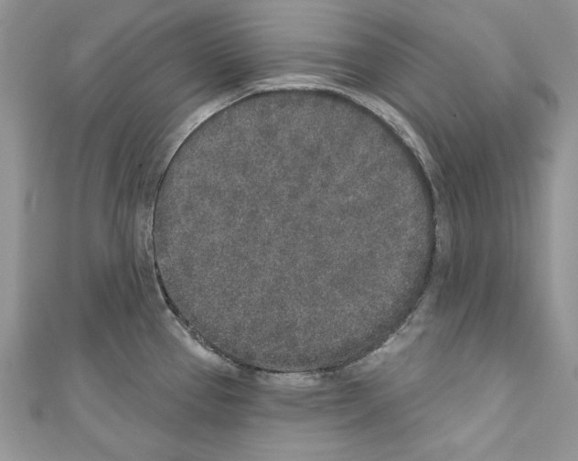 X0000110761337200907271136