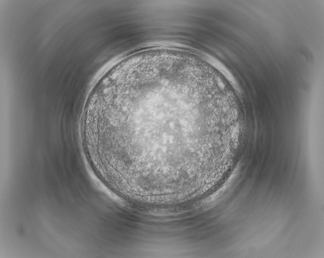 X0000110761338200907271136