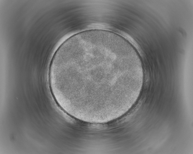 X0000110761339200907271136