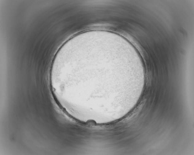 X0000110761341200907271136