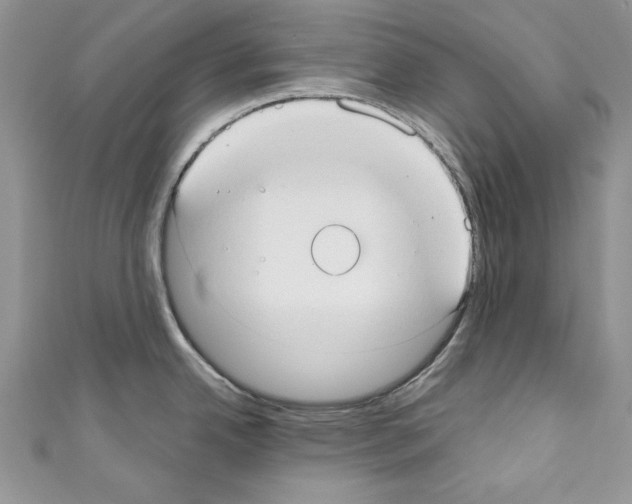 X0000110761342200907271136