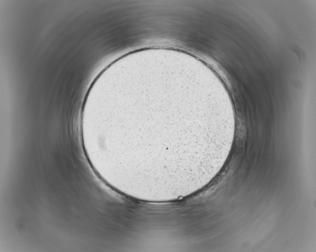 X0000110761343200907271136