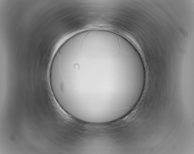 X0000110761344200907271136