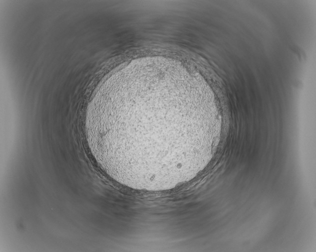 X0000110761345200907271135