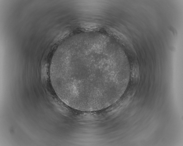 X0000110761346200907271135