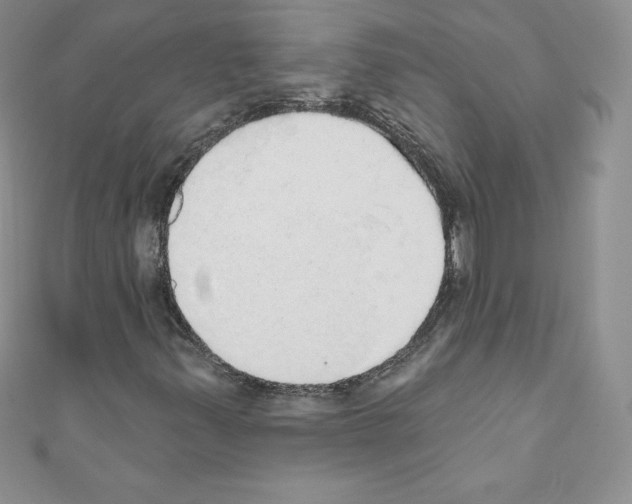X0000110761347200907271135