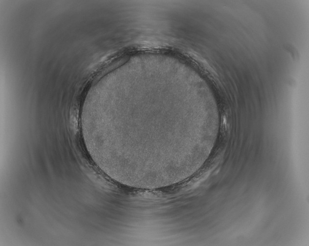 X0000110761348200907271135