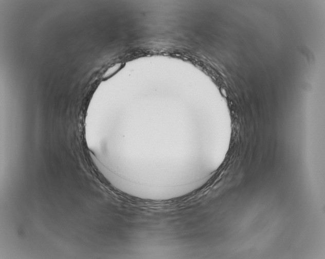 X0000110761349200907271135