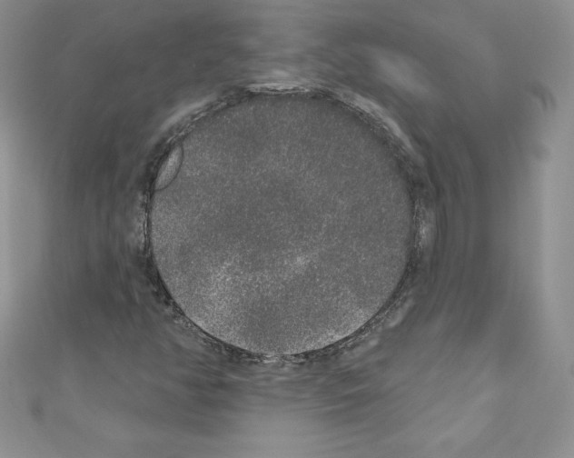 X0000110761350200907271135