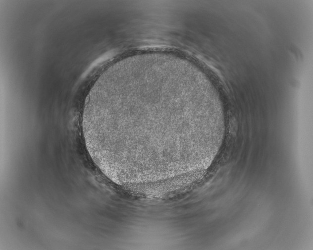 X0000110761351200907271135