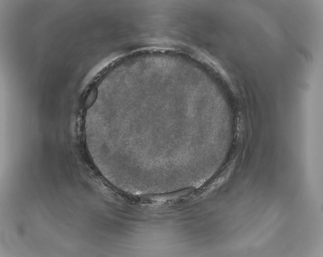 X0000110761352200907271135