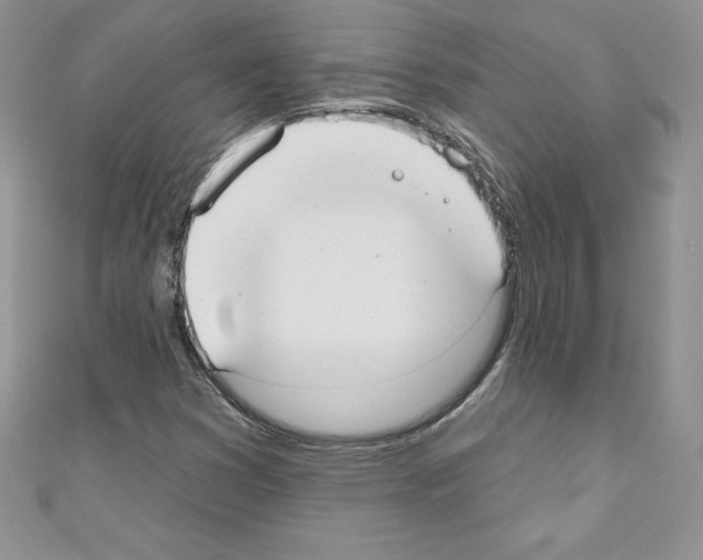 X0000110761353200907271135