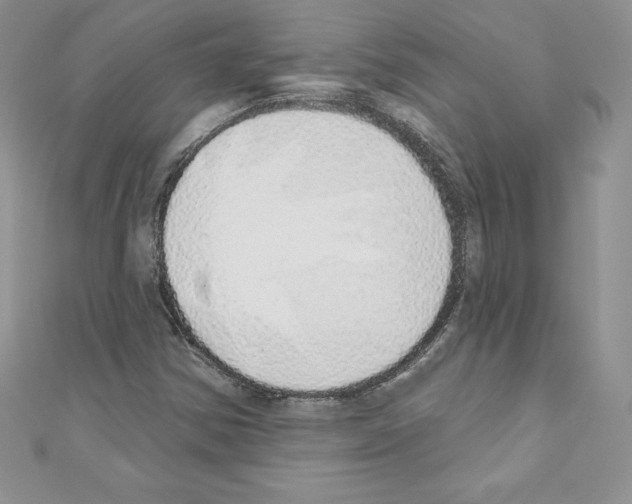 X0000110761354200907271135