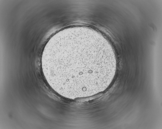 X0000110761355200907271135