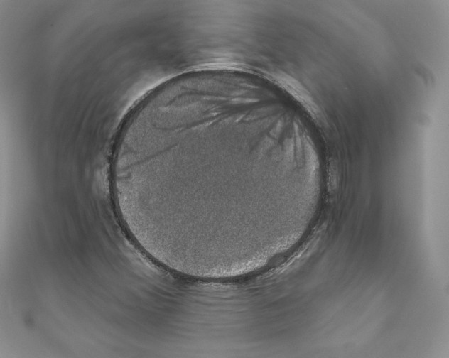 X0000110761356200907271135