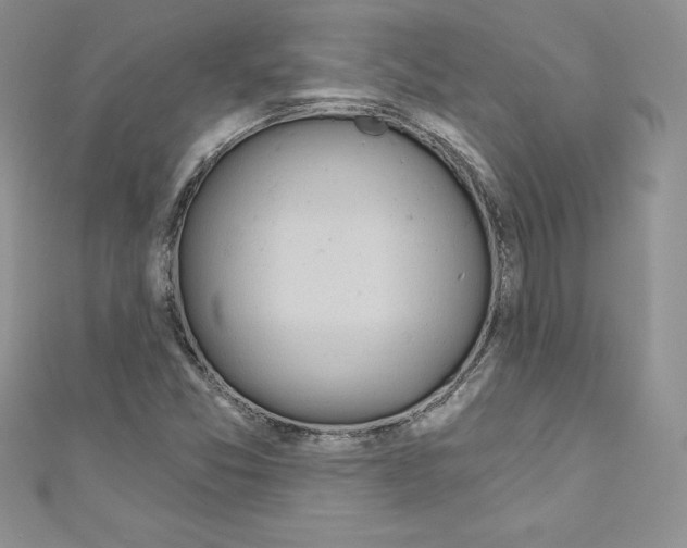 X0000110761357200907271135