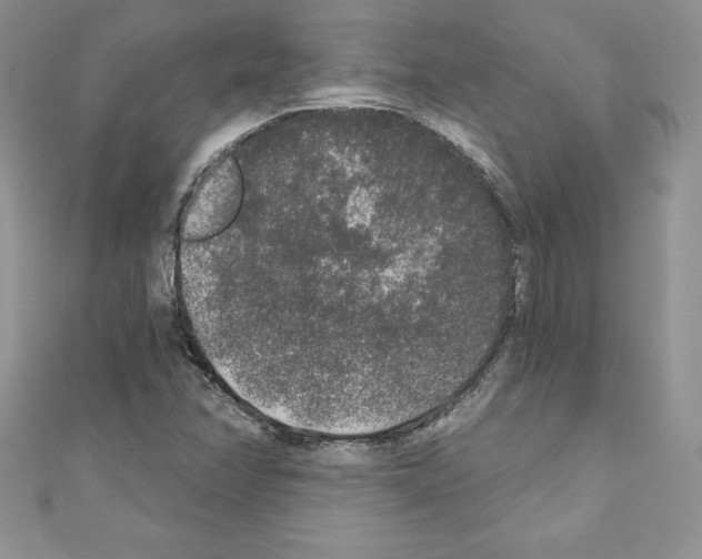 X0000110761358200907271135