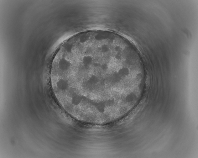 X0000110761359200907271135