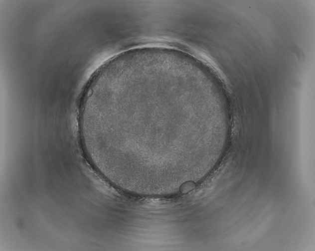X0000110761360200907271135