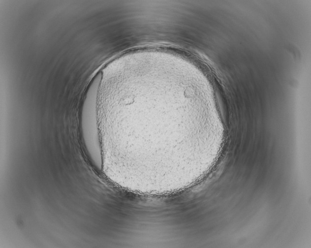 X0000110761361200907271135