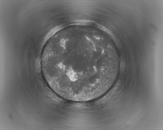 X0000110761362200907271135