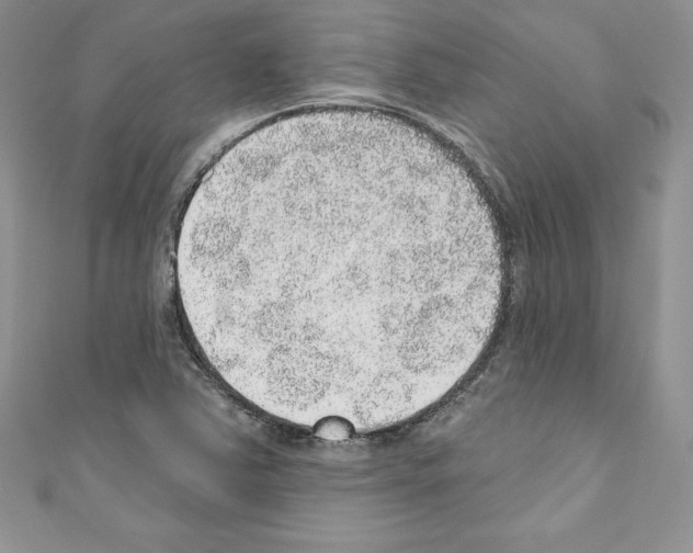 X0000110761363200907271135