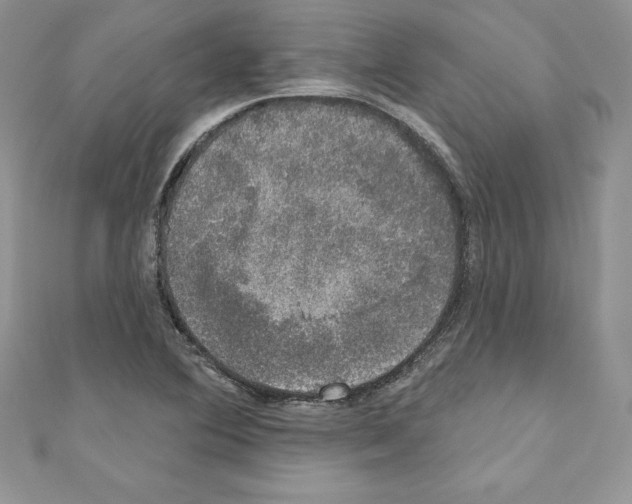 X0000110761364200907271135