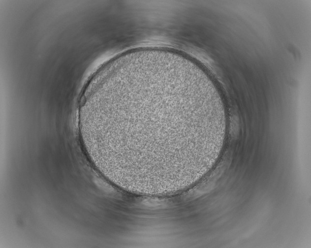 X0000110761366200907271135