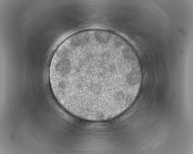 X0000110761367200907271135