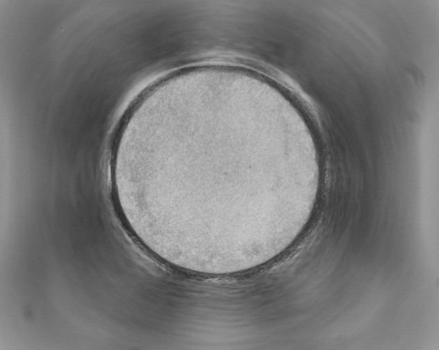 X0000110761368200907271135