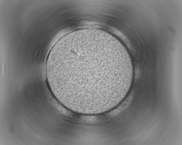 X0000110761370200907271135