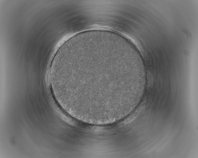 X0000110761371200907271135