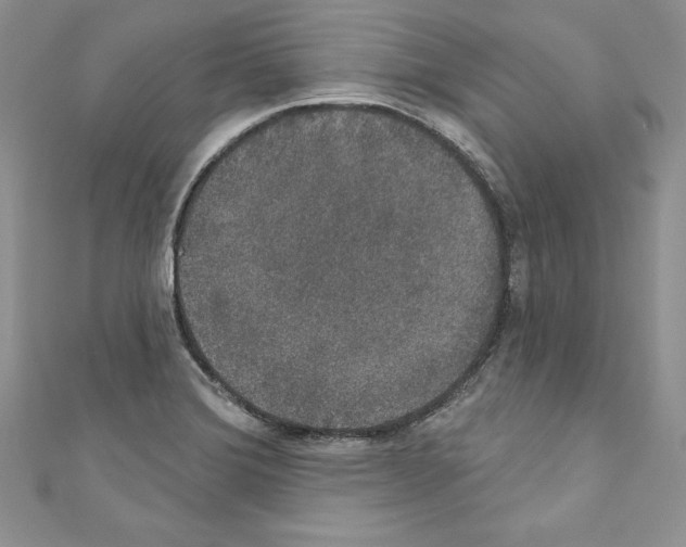 X0000110761372200907271135
