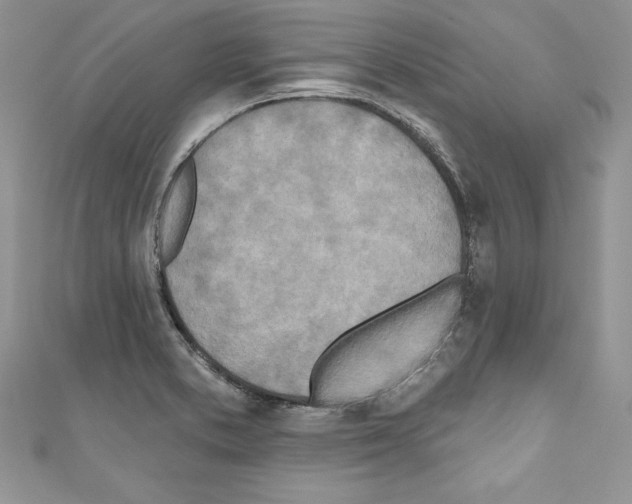 X0000110761373200907271135