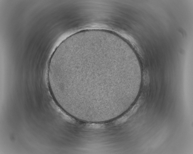 X0000110761374200907271135