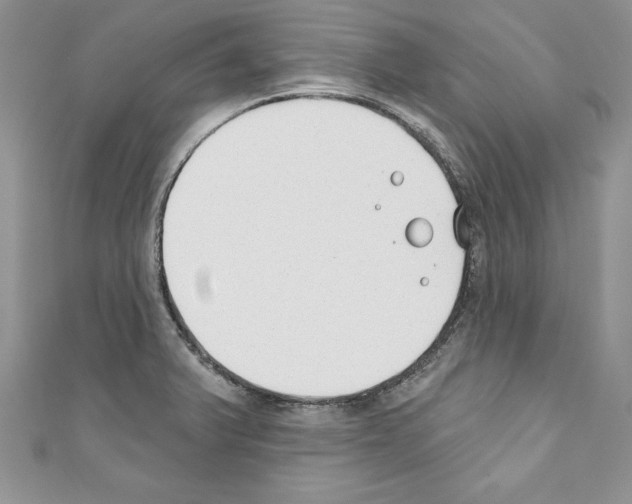 X0000110761375200907271135