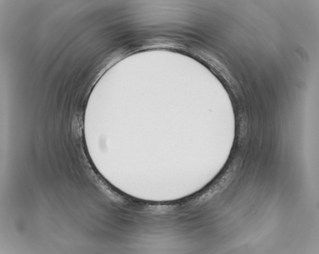X0000110761377200907271135
