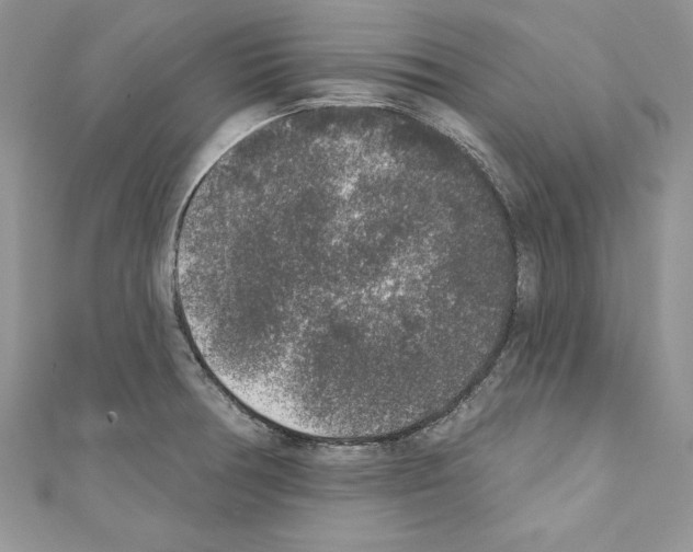 X0000110761378200907271135