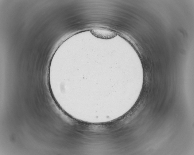 X0000110761379200907271135