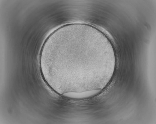 X0000110761380200907271135