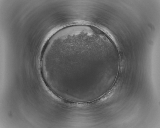 X0000110761381200907271135