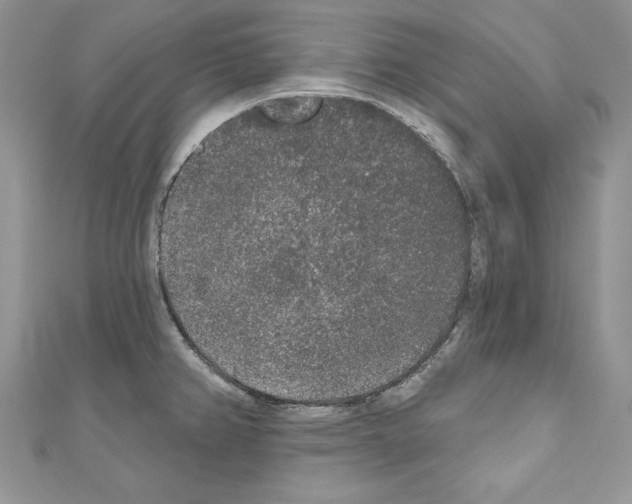 X0000110761382200907271135