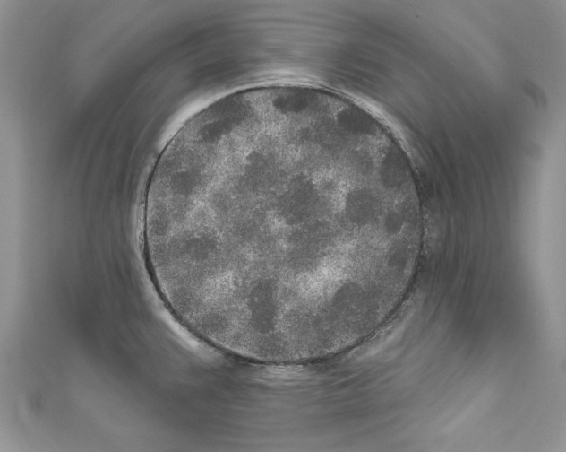 X0000110761383200907271135