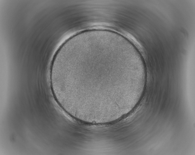 X0000110761384200907271134