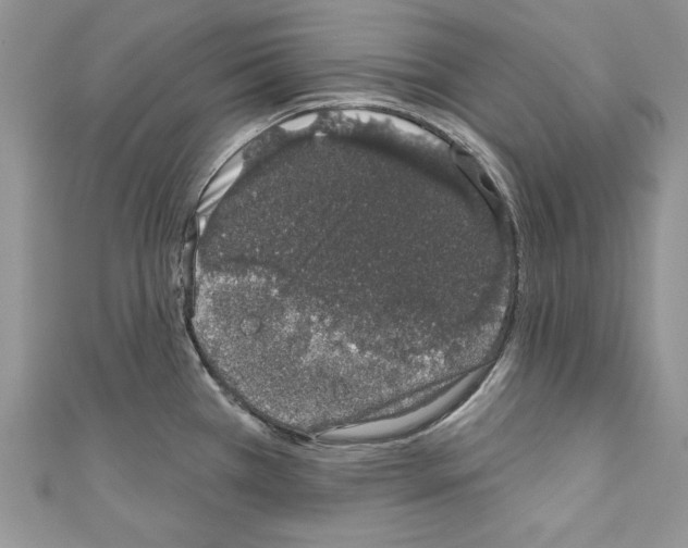 X0000110761385200907271134