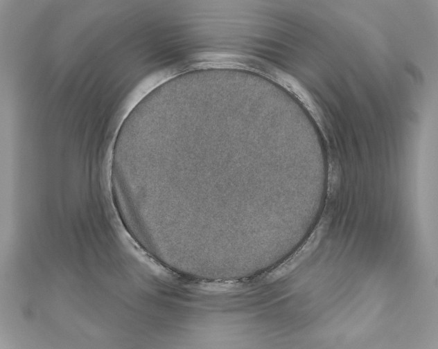 X0000110761386200907271134