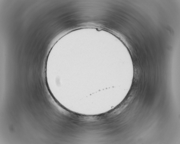 X0000110761387200907271134