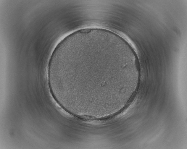 X0000110761388200907271134