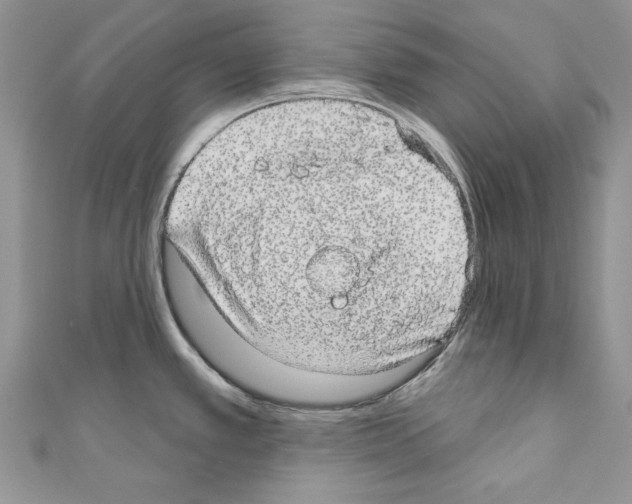 X0000110761389200907271134